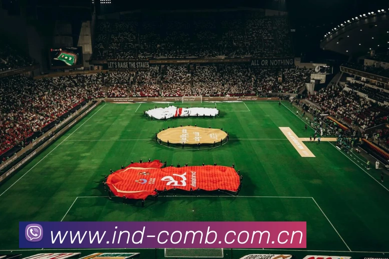 滚球官网app平台生态图